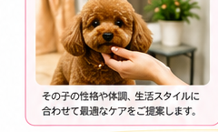 カウンセリング