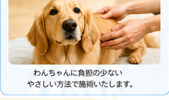 施術